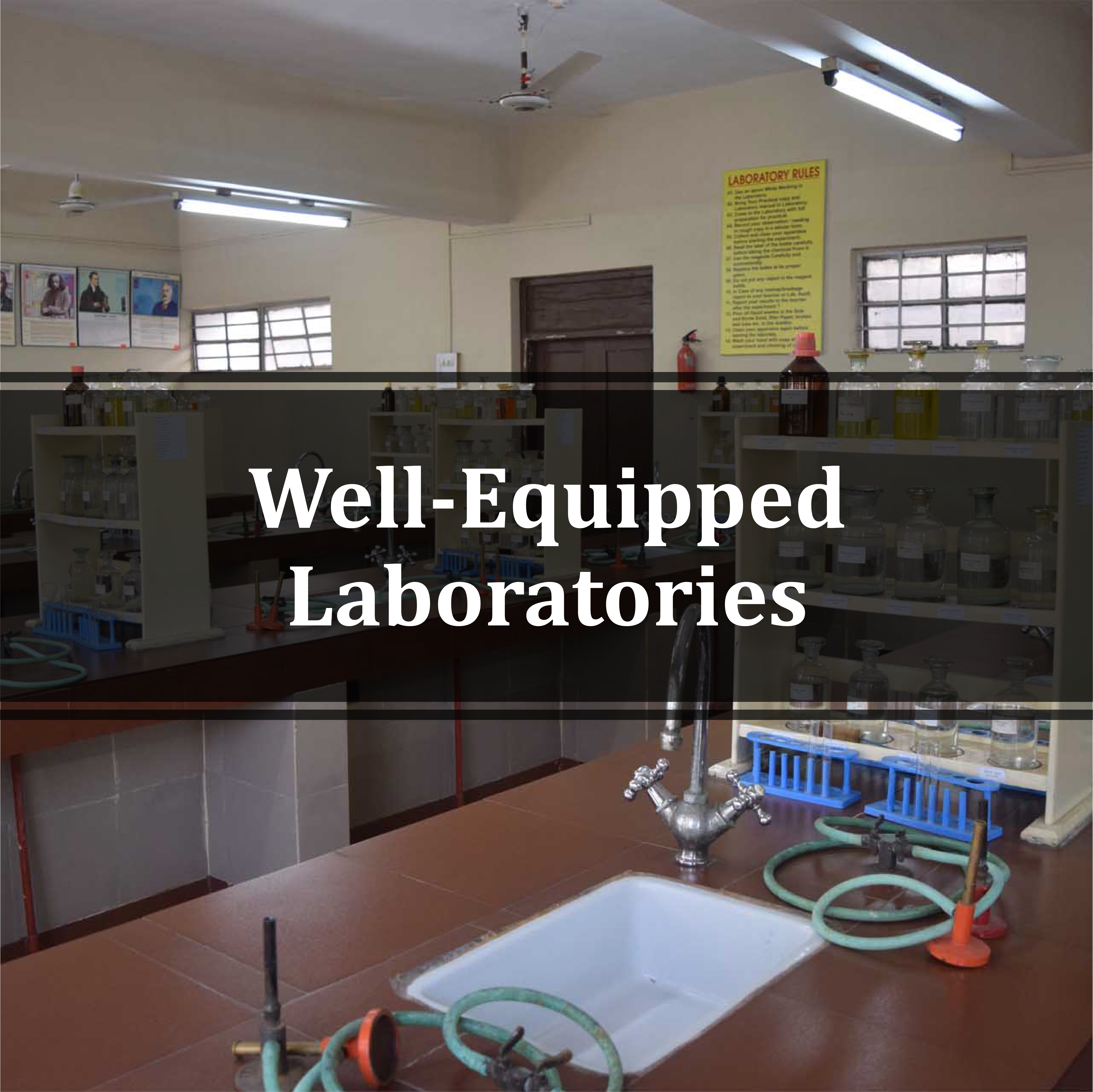 Experienced Faculty